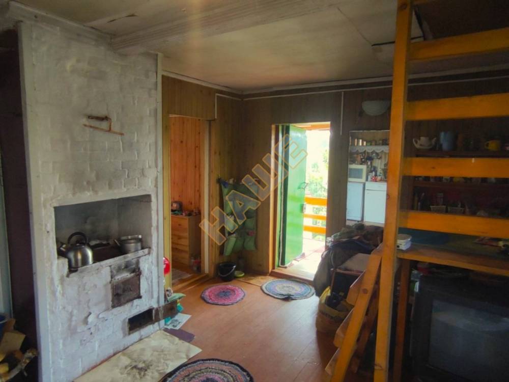 photo1716182447 (4)
