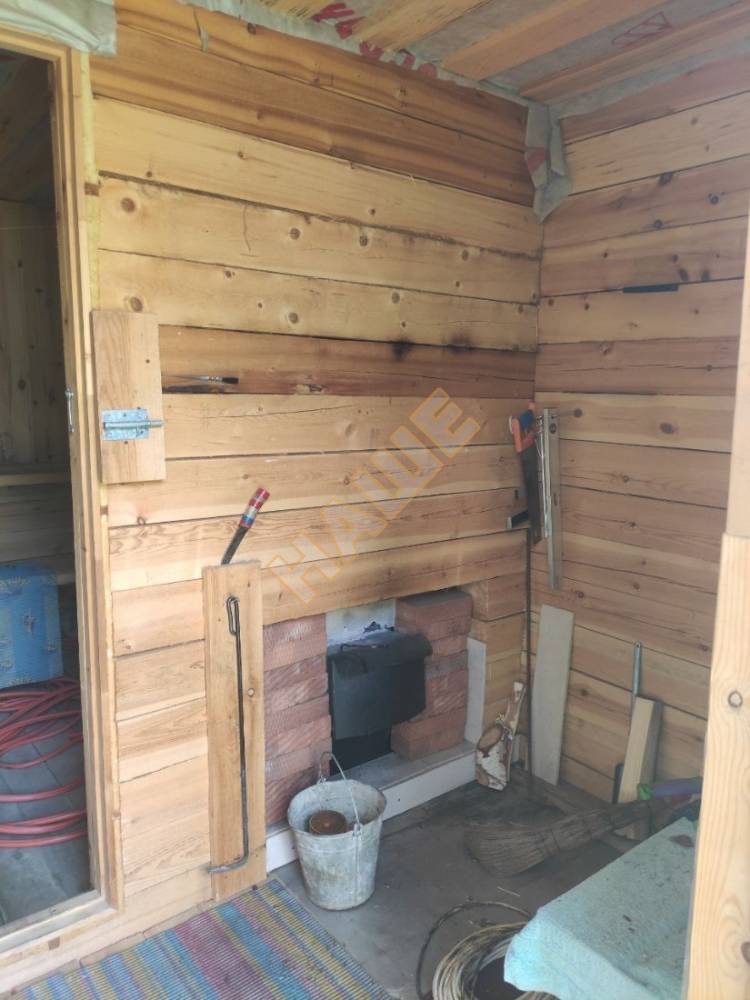 photo1716182447 (16)