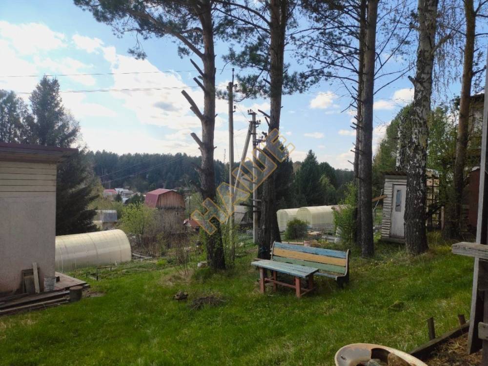 photo1716182446 (2)