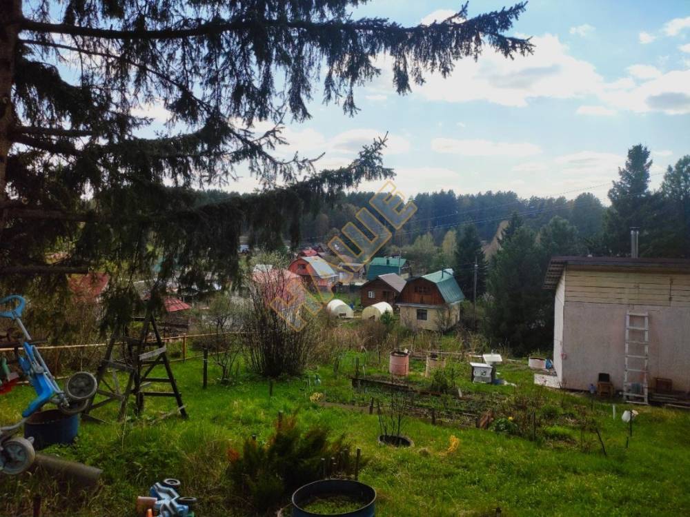 photo1716182446 (3)
