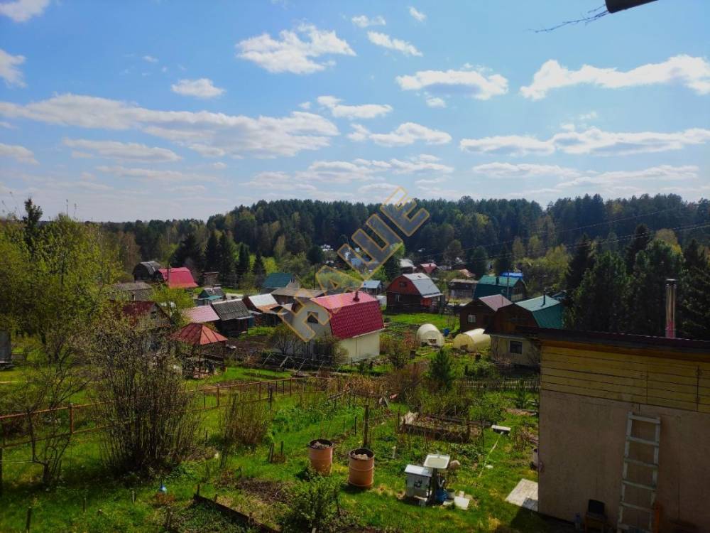 photo1716182446 (6)